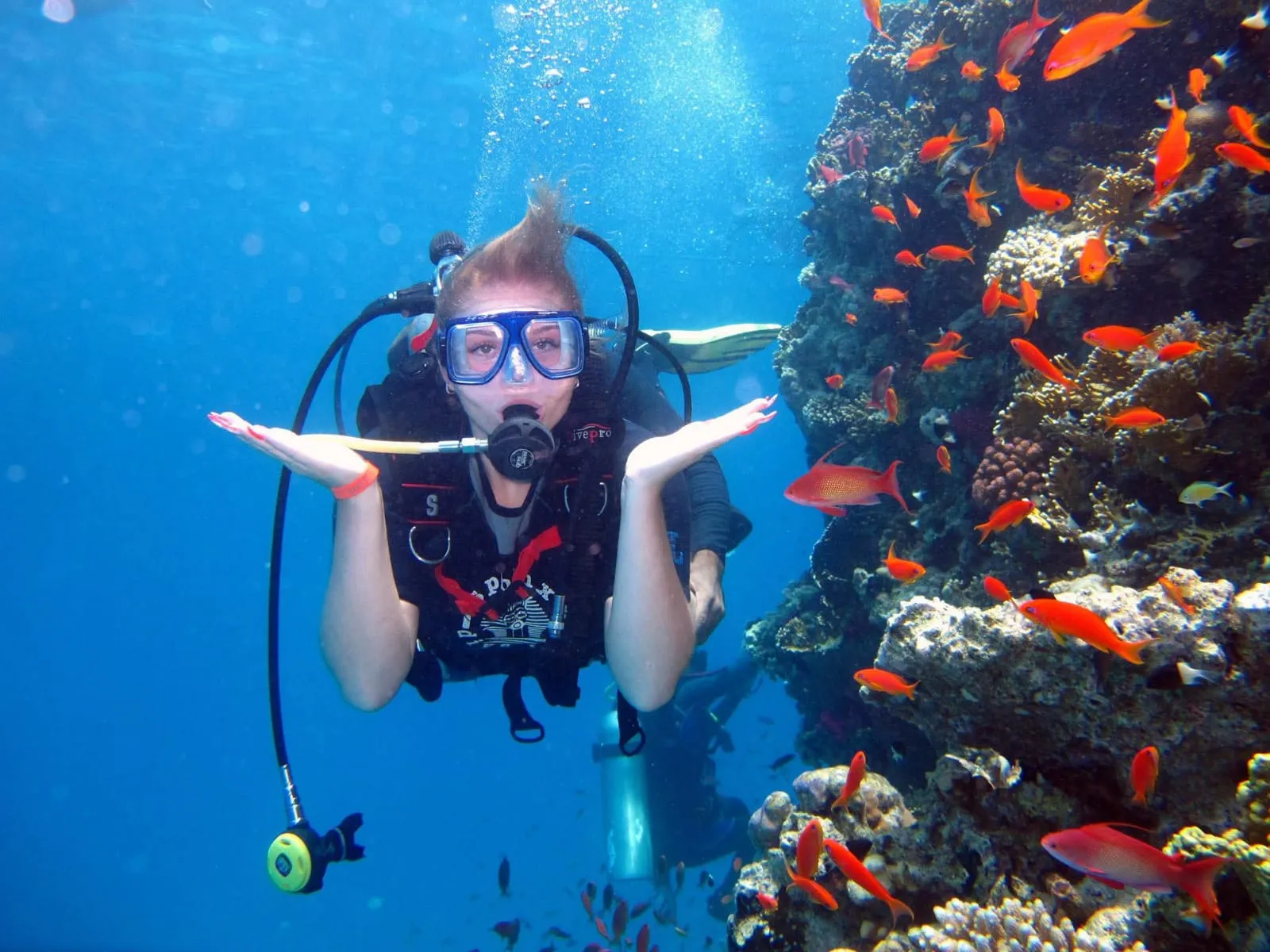 🌊🤿 Discover Scuba Diving Experience – El Gouna 🐠 Scuba Diving El Gouna /IMG-20260525-WA0041.jpg